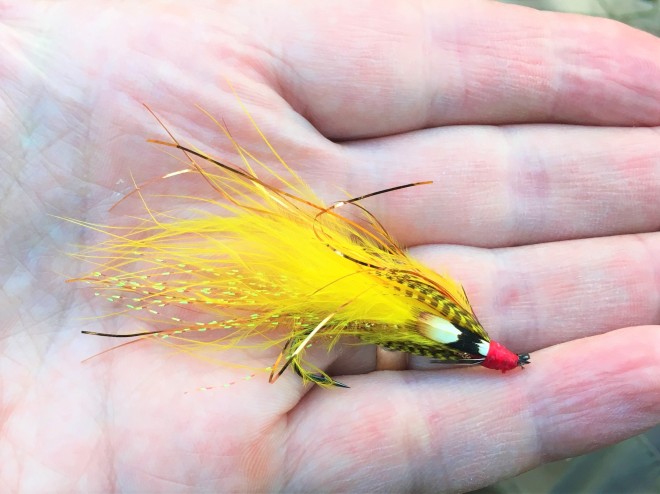 My Yellow Soft Hackle Streamer